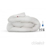 Abeil Couette Feran Ice Douceur et Fraicheur Blanc 200 x 200 cm - B07QTLFDRF